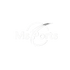 MsPorts